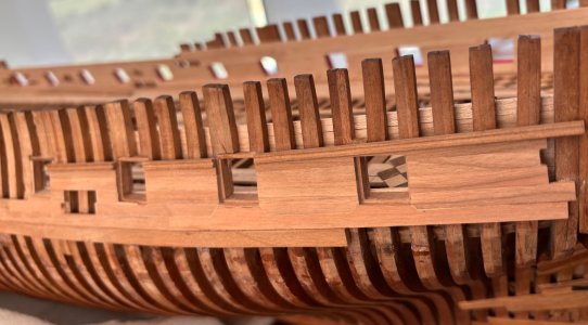 IMG_7285.jpeg IMG_7285.jpeg