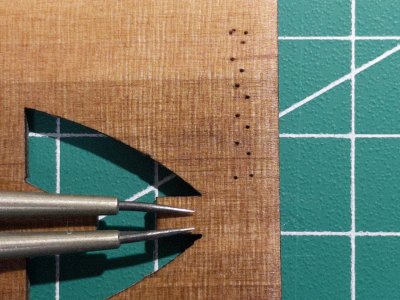 IMG_3659.jpeg IMG_3659.jpeg