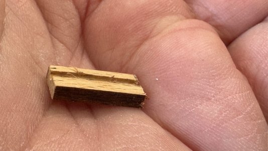 IMG_0307.jpeg IMG_0307.jpeg