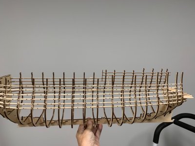 IMG_8687.jpeg IMG_8687.jpeg