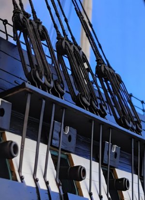 Screenshot_20251217_175300_Gallery.jpg Screenshot_20251217_175300_Gallery.jpg