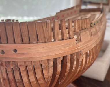 IMG_7360.jpeg IMG_7360.jpeg