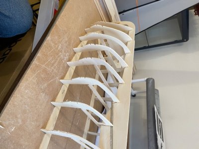 IMG_5174.jpeg IMG_5174.jpeg