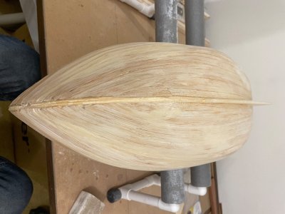 IMG_5217.jpeg IMG_5217.jpeg