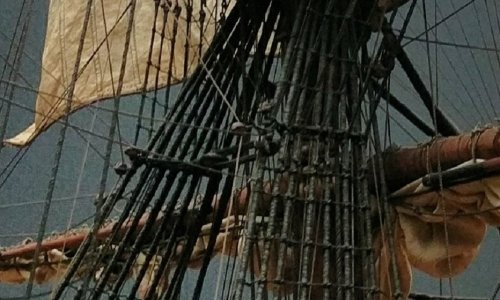 Catherpins William Rex...jpeg