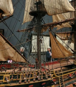 Catherpins William Rex..jpeg