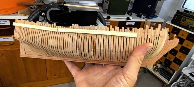 ossatura-29.jpg ossatura-29.jpg