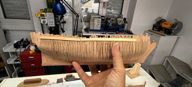 ossatura-35.jpg ossatura-35.jpg