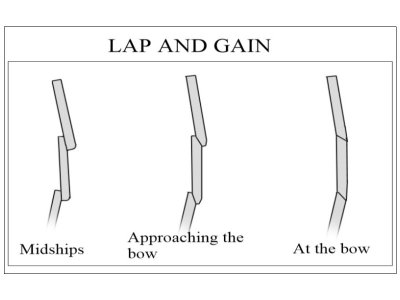 1766843503123.jpeg 1766843503123.jpeg