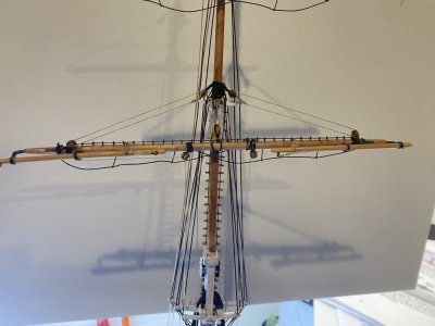 IMG_1486.jpeg IMG_1486.jpeg