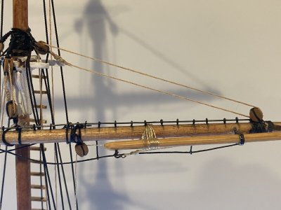 IMG_1489.jpeg IMG_1489.jpeg