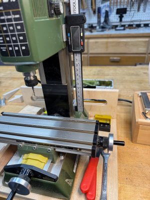 IMG_9081.jpeg IMG_9081.jpeg