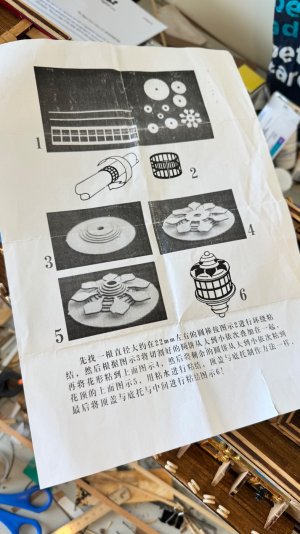 IMG_0894.jpeg IMG_0894.jpeg