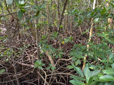 IMG_2303.jpeg IMG_2303.jpeg