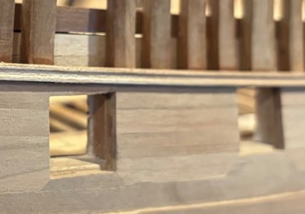 IMG_7534.jpeg IMG_7534.jpeg