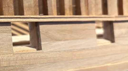 IMG_7538.jpeg IMG_7538.jpeg