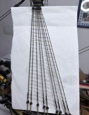 IMG_2996.jpeg IMG_2996.jpeg