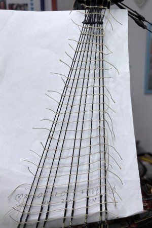 IMG_2964.jpeg IMG_2964.jpeg