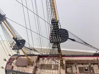 IMG_3134.jpeg IMG_3134.jpeg