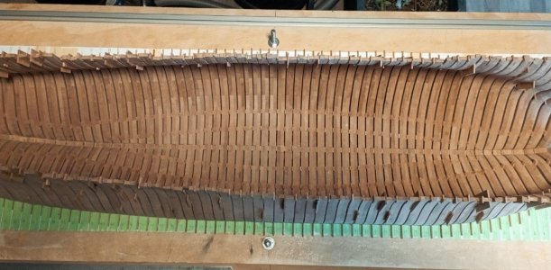 IMG_20260121_184250_copy_1142x561.jpg IMG_20260121_184250_copy_1142x561.jpg