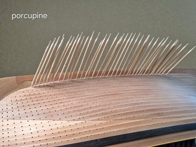 Alert 1905.jpg Alert 1905.jpg