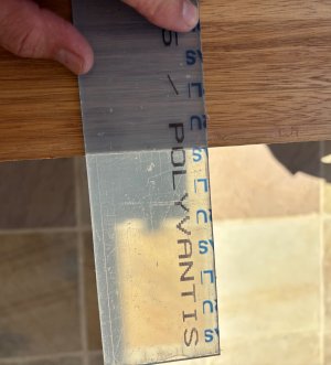 IMG_7592.jpeg IMG_7592.jpeg