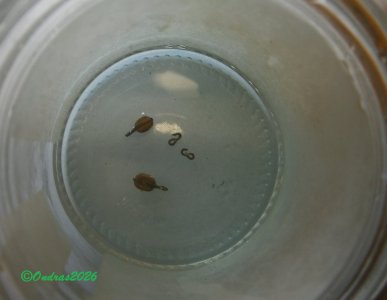 výroba blocks Top rope (4).JPG