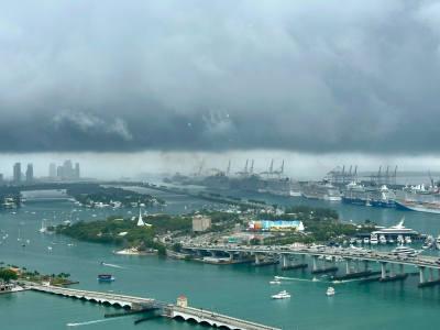 1769298542407.png 1769298542407.png