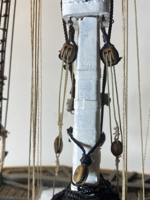 IMG_1581.jpeg IMG_1581.jpeg