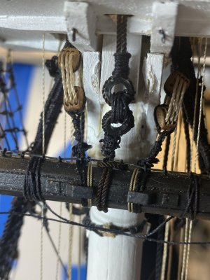 IMG_1584.jpeg IMG_1584.jpeg