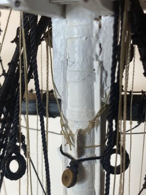 IMG_1583.jpeg IMG_1583.jpeg