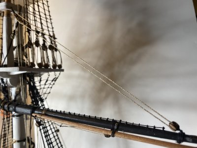 IMG_1585.jpeg IMG_1585.jpeg