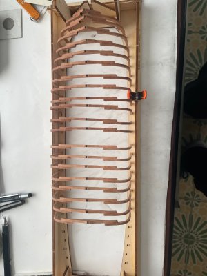 IMG_2513.JPG IMG_2513.JPG