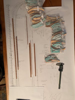 IMG_3851.jpeg IMG_3851.jpeg