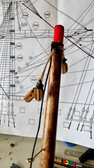 IMG_1157.jpeg IMG_1157.jpeg