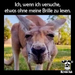 img_3_1744657208128 (1).jpg