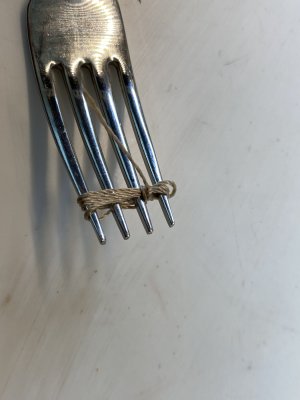 IMG_1598.jpeg IMG_1598.jpeg