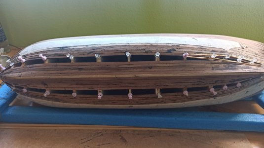 San Juan Nepomuceno de AL  (10214).jpeg