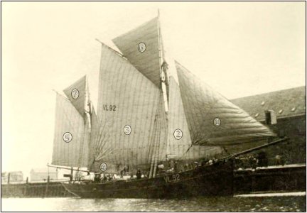 0988 Aap.jpg 0988 Aap.jpg