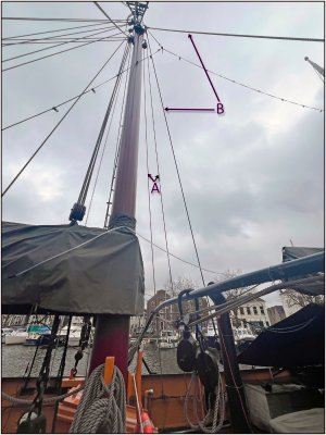 0990 Aap.jpg 0990 Aap.jpg