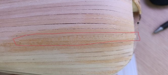 Atún en proa (1).jpeg