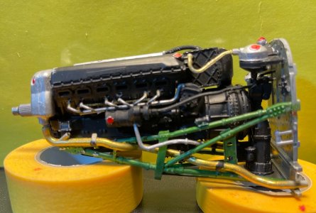 IMG_4855.jpeg IMG_4855.jpeg