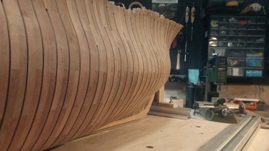 IMG_20260201_133613.jpg IMG_20260201_133613.jpg