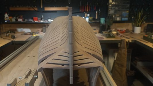 IMG_20260201_133646.jpg IMG_20260201_133646.jpg