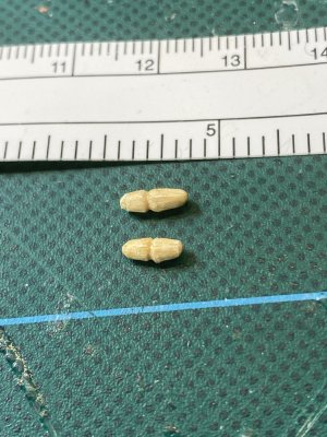 IMG_1618.jpeg IMG_1618.jpeg