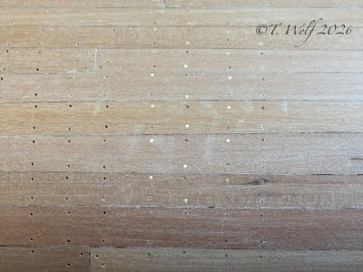 eZy Watermark_01-02-2026_06-29-26-1840PM.jpeg