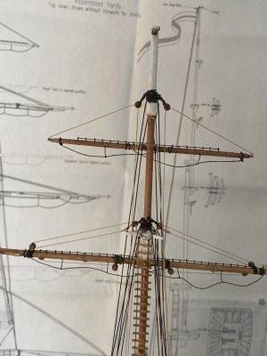 IMG_1665.jpeg IMG_1665.jpeg