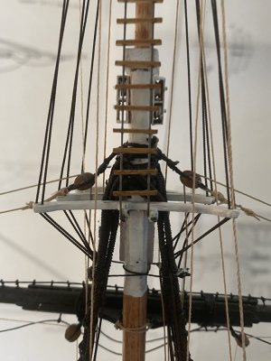 IMG_1663.jpeg IMG_1663.jpeg