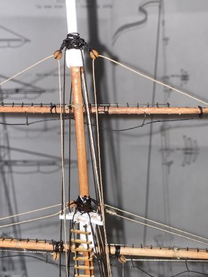 IMG_1657.jpeg IMG_1657.jpeg