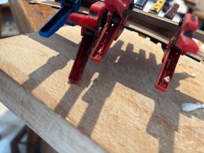 IMG_7744.jpeg IMG_7744.jpeg